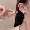 Rose Alloy Resin Tassel Stud Earrings FS-WG28E3C-01-4
