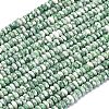 Natural Green Spot Jasper Beads Strands G-P575-A45-4x2mm-2