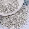 MIYUKI Delica Beads X-SEED-J020-DB0551-1