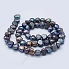 Natural Cultured Freshwater Pearl Beads Strands PEAR-K004-10C-2
