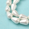Electroplate Shell Pearl Beads Strands BSHE-G010-6x9mm-01A-4