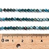 Natural Apatite Beads Strands G-RM2025-28-3.5mm-5