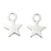 Alloy Charms TIBEB-S039-051S-RS-3