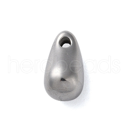 Non-Tarnish 304 Stainless Steel Charms STAS-G338-09P-1