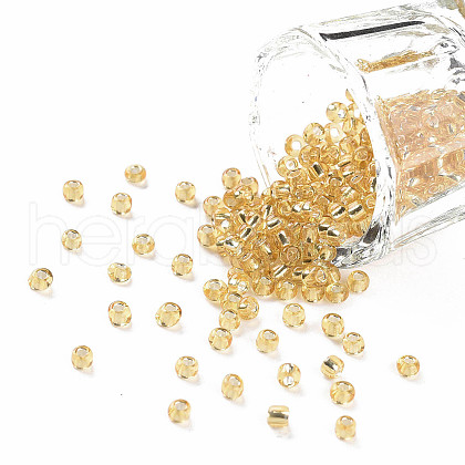 8/0 Glass Seed Beads X2-SEED-A005-3mm-22-1