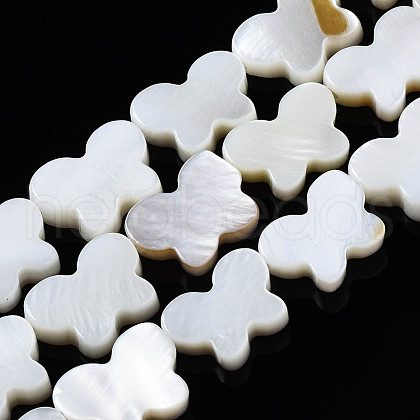 Natural Freshwater Shell Beads Strands SHEL-Q024-012-1
