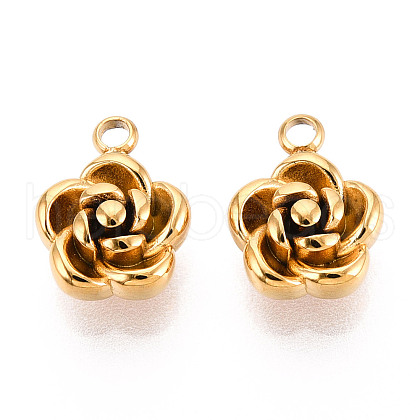 304 Stainless Steel Charms STAS-N112-11G-1