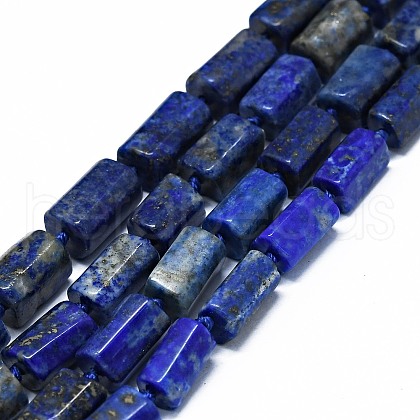 Natural Lapis Lazuli Beads Strands G-O170-100-1