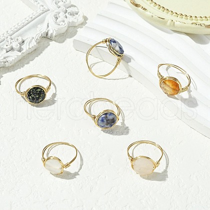 Flat Round Natural Red Jasper & Rose Quartz & Blue Spot Jasper & Tiger Eye & Dalmatian Jasper & Agate Finger Rings RJEW-JR00827-01-1
