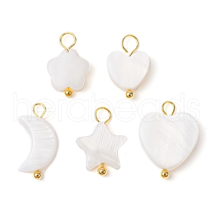 Natural Freshwater Shell Pendants PALLOY-JF02416-02-1