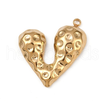 304 Stainless Steel Pendants STAS-B092-10G-1