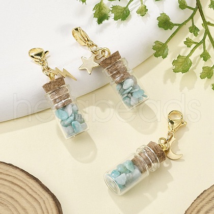 Natural Amazonite Chip inside Glass Wishing Bottle Pendant Decoration HJEW-JM03130-01-1