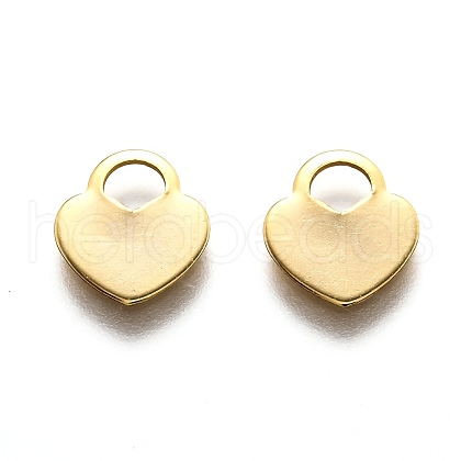 201 Stainless Steel Charms STAS-B001-10G-1