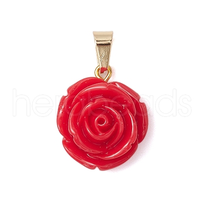 Opaque Resin Pendants PALLOY-JF02753-02-1