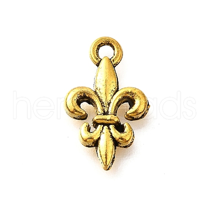 Tibetan Style Alloy Pendants TIBE-L008-15AG-1