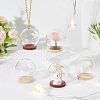  6Pcs 2 Colors Glass Dome Cover DJEW-NB0001-16-4