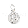 925 Sterling Silver Constellations Charms STER-M118-01K-1