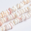 Natural Pink Shell Beads Strands X-SSHEL-L016-19-1