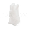 Rabbit DIY Silicone Rabbit Ornaments Molds SIMO-R010-03C-2