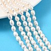 Natural Cultured Freshwater Pearl Beads Strands PEAR-I007-01B-05B-1