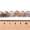 Natural Amethyst Lace Agate Beads Strands G-H312-C01-10mm-5