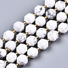 Natural Howlite Beads Strands G-T131-81B-1