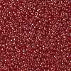 MIYUKI Round Rocailles Beads X-SEED-G008-RR0166-3