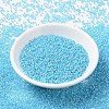 MIYUKI Round Rocailles Beads X-SEED-G007-RR0647-2