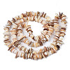 Natural Freshwater Shell Beads Strands SHEL-S278-071D-2