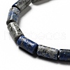 Natural Lapis Lazuli Beads Strands G-I326-05B-4