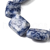 Natural Blue Spot Jasper Beads Strands G-S386-A05-4