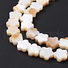 Natural Freshwater Shell Beads Strands SHEL-H002-03G-4