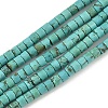 Dyed Natural Magnesite Beads Strands G-M448-C01-01-2