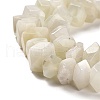 Natural White Moonstone Beads Strands G-N327-05-04-4