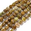 Natural Yellow Opal Beads Strands G-P497-01E-34C-1