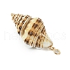 Natural Scallop Shell & Round Shell Pearl Pendants PALLOY-TA00197-02-5
