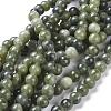 Natural Taiwan Jade Beads Strands Z0NCT012-5