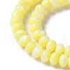 Natural Freshwater Shell Beads Strands SSHEL-C013-07C-3