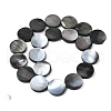 Natural Black Lip Shell Beads Strands BSHE-D300-05-20mm-4