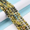 Natural Yellow Turquoise(Jasper) Beads Strands G-Q462-6mm-22-5