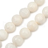 Natural White Shell Beads Strands BSHE-U002-01-2