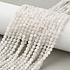 Natural Rainbow Moonstone Beads Strands G-C201-B06-4mm-1