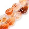 Natural Agate Carved Beads Strands G-H024-B01-01-2