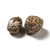 Natural Feldspar Beads G-G979-A11-3