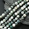 Natural Tree Agate Beads Strands X-G-K194-8mm-02-1