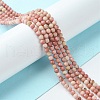 Natural Rhodonite Beads Strands G-F748-U01-02-2