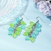Heart Transparent Acrylic Dangle Earrings EJEW-JE06365-6