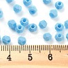 Baking Paint Glass Seed Beads X1-SEED-A032-02G-4