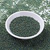 MIYUKI Round Rocailles Beads SEED-X0054-RR0288-2