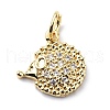 Brass Micro Pave Cubic Zirconia Charms ZIRC-F131-10G-1